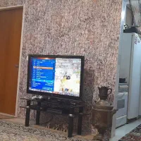 همخونه خانم