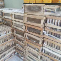 عسل سبلان سراب کریستالی خوی ژل رویال گرده گل|عمده‌فروشی|اردبیل, |دیوار