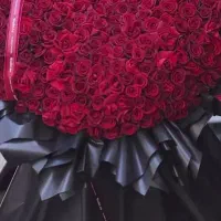 گلفروشی دسته گل ، باکس گل رز هلندی لیلیوم|گل و گیاه طبیعی|کرج, گوهردشت|دیوار