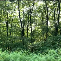 زمین مناسب برای کافه و بوم گردی