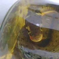 کلکسیونی و کمیاب