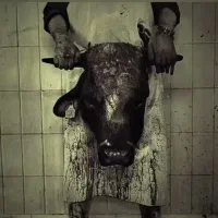 قصاب (ذبح گاو گوسفند در محل شما )