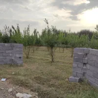 باغچه 1000متر با برق و دیوارکشی جاده طلاتپه|فروش زمین و ملک کلنگی|ارومیه, |دیوار