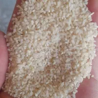 برنج نیم دانه هاشمی معطر