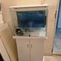اکواریوم