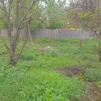 زمین-لاهیجان-روستایی-ناصر-کیاده