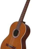 گیتار m5 parsi نو