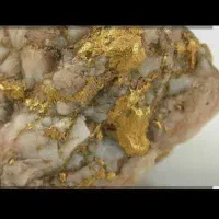 سنگ طلا رگه