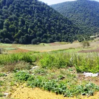 ۲هکتار زمین هکتاری شخصی  معاوضه