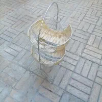 سبد نگهداری میوه