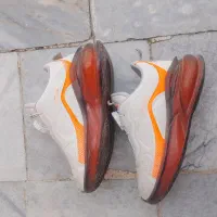 سالم و بدون مشکل سایز 29