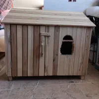 کلبه سگ خانگی