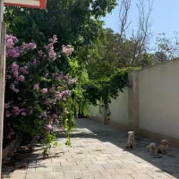 اجاره باغ ویلا|اجارهٔ کوتاه‌مدت ویلا و باغ|تهران, صادقیه|دیوار