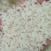 برنج صدری (کشت دوم) زرد دم محصول امسال