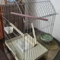 قفس بدون زنگ زدگی