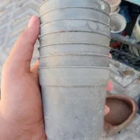 حدود ۱۰۰ عدد گلدان