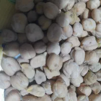 نخود پاک هم درشت زود پز