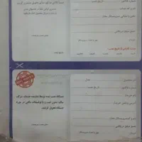 هود آشپزخانه پلمپ توافقی|هود|شیراز, کوشک میدان|دیوار