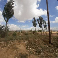 زمین ۱۰۰۰ متر سند دار.|فروش دفتر صنعتی، کشاورزی، تجاری|صائین قلعه, |دیوار