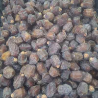 خرما شکلاتی (ریزه) خاصه