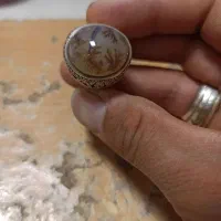 شجر گل زعفرانی قائن|جواهرات|شهرضا, |دیوار