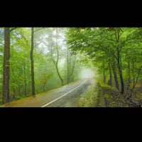 همسفر شمال ویلا و ماشین دارم