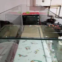 اکواریوم۱۰میل سوپر کلیر سکوریت بزرگ نونو