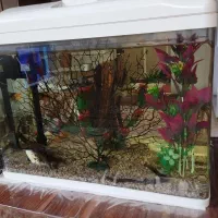 آکواریوم شرکتی
