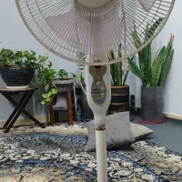 پنکه ایستاده