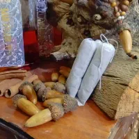 چیپس بلوط (asalak)
