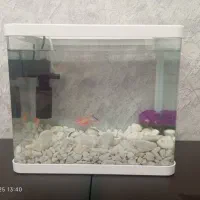 آکواریوم  با ماهی