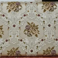 پشتی درحدنو