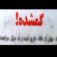 مدارک گمشده ب نام محمد علی فرحانی