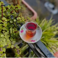 چای بهاره ممتازِ شمال ۱۴۰۵