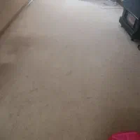 موکت پالاز تمیز