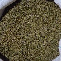 ماشک امسال باشت