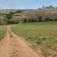 ۴۰۰ متر زمین در عجوی بسطام کجور (میون خرابه)