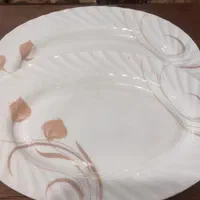 دیس پلو خوری ۲عدد موجود است