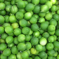 پخش تربار عمده به تمام ارگان ها|خوردنی و آشامیدنی|تهران, جردن|دیوار