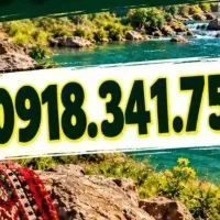 سیمکارت ۳۴۱ در حد صفر09183417518