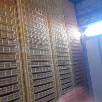 تبق پلاستیکی