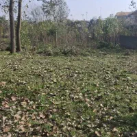 ۹۰۰متر زمین مسکونی