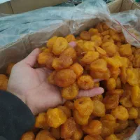 خ آلو|خوردنی و آشامیدنی|نیشابور, بنیاد شهید|دیوار