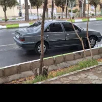 پژو پارس ۸۷تمام رنگ|خودرو سواری و وانت|سیرجان, |دیوار