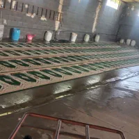 قالیشویی مبل شویی پاک فرش