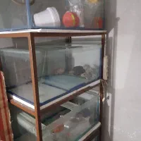 ی پایه اکواریوم با وسایل