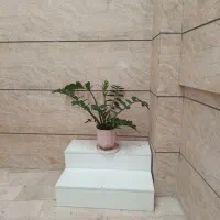 یک عدداستندگل ،یک عددمیزتلفن