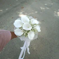 دسته گل و ماشین عروس،طبیعی،مصنوعی،فروش،کرایه|گل و گیاه طبیعی|مشهد, گوهرشاد|دیوار