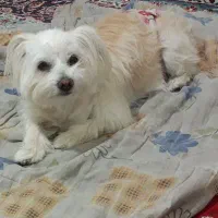 لطفا به وقت دیگران احترام بزارید ،