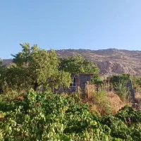 فروش ۲۰۰۰ متر باغ میوه در شهرستان سرسبز بوانات|فروش دفتر صنعتی، کشاورزی، تجاری|بوانات, |دیوار